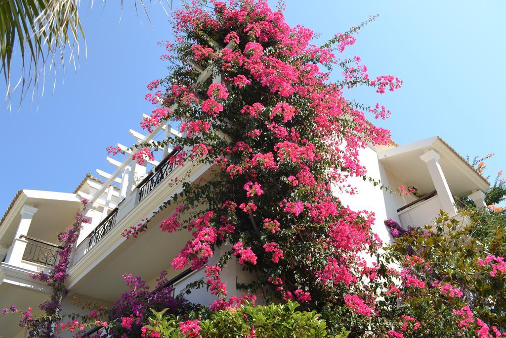 Delfino Blu Wellness Boutique Hotel Agios Stefanos Avliotes (Corfu) Exterior foto